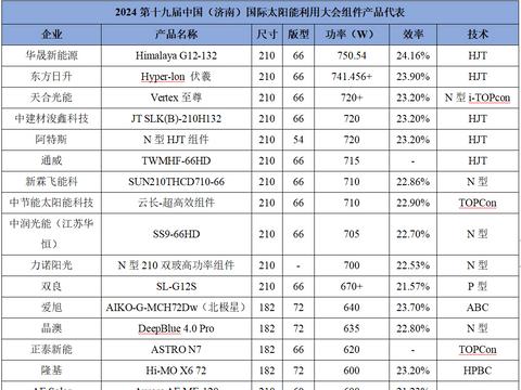 功率飙升新高度!2024济南光伏展圆满落幕 700W+高功率产品成亮点