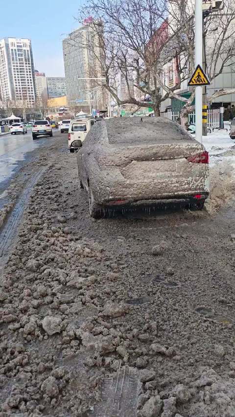 这是什么车衣，挺真实啊