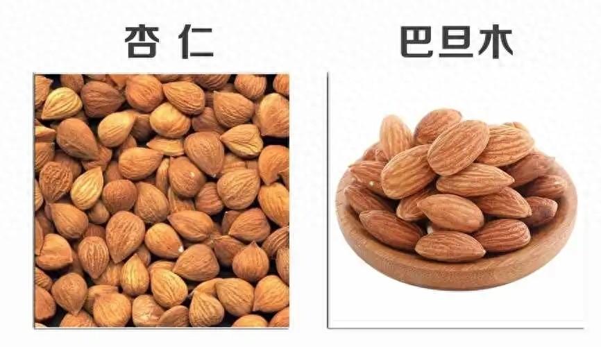 核桃,巴旦木仁,椰枣,葡萄干一起吃?新疆区人民医院直属维吾尔医院医生回答?