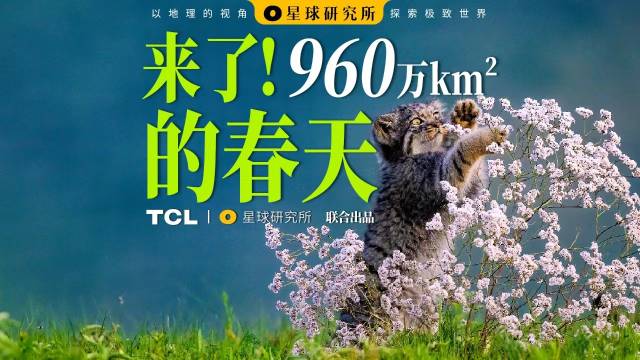 你看！在这片960万平方公里的大地上，正在上演一场最盛大的春天开幕……