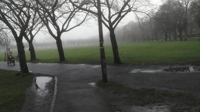 爱大迷雾丛林 爱丁堡大学就在老城，离酒店举步之遥
