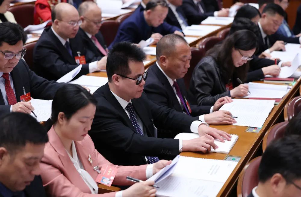 野山坡属于那个地区