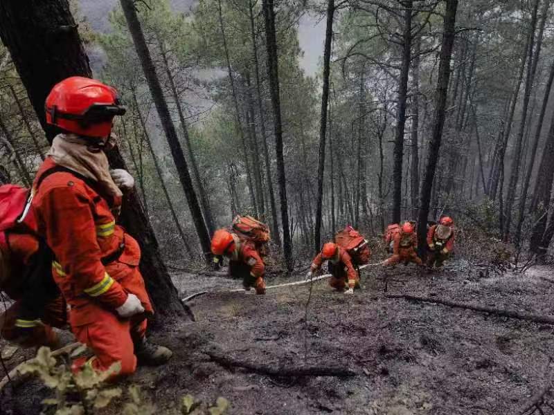 圖片來自四川省森林消防總隊