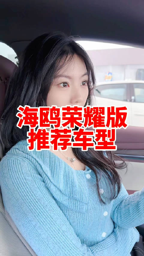 比亚迪海鸥荣耀版实拍来啦