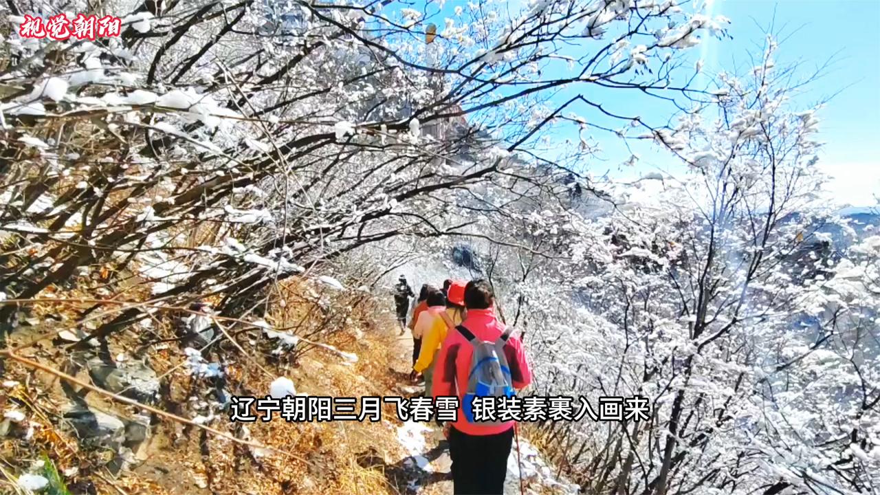 辽宁朝阳三月飞春雪  银装素裹入梦来