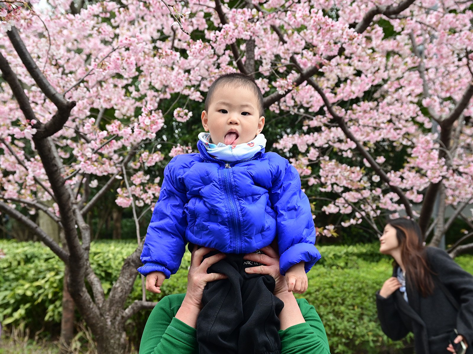 2024年3月15日，上海静安雕塑公园。一个做着鬼脸的孩子被托举起来，配合家长拍照。澎湃新闻记者 吴栋 图