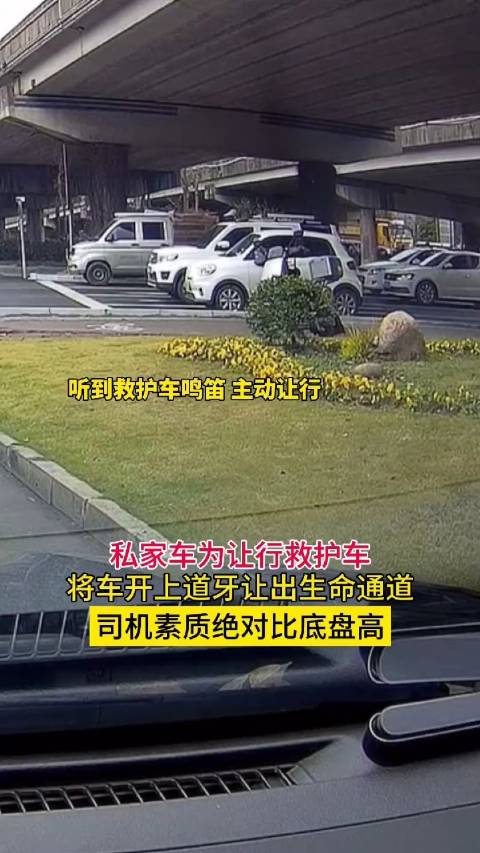 车技不详，心地善良