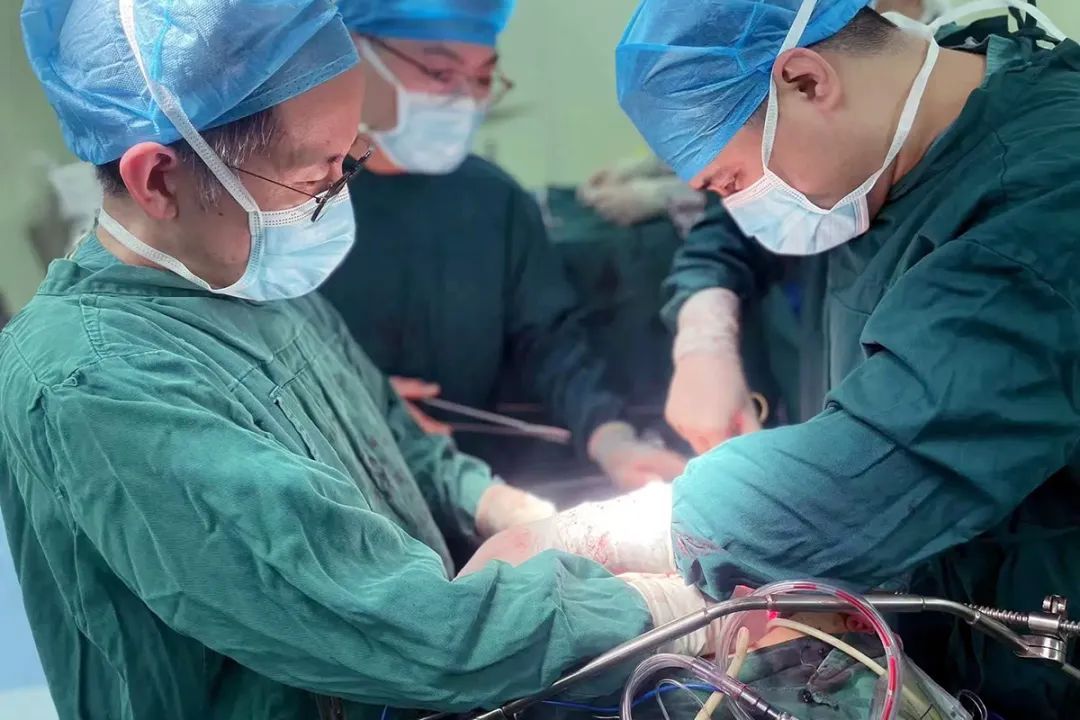 受伤较重 f253-c338126259362f6f25ce0cf0ea51093e.jpg