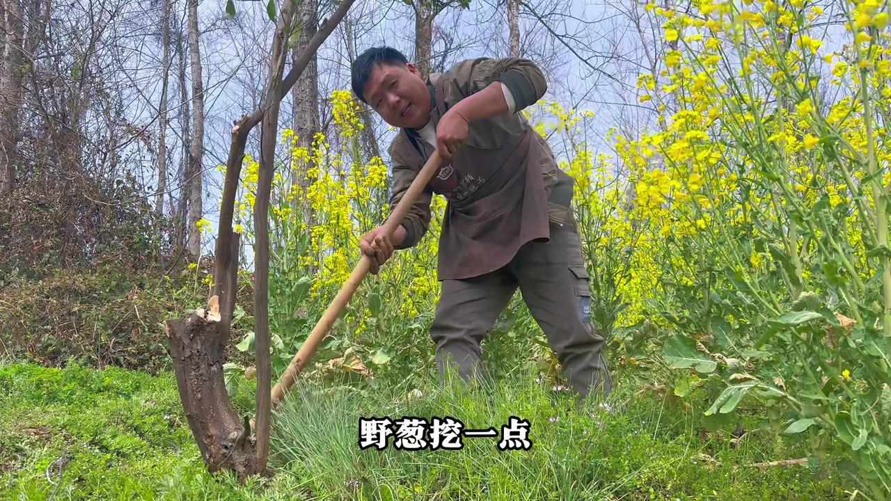 挖点野菜，炖锅牛肉丸子，踏实安静的一天又完了！