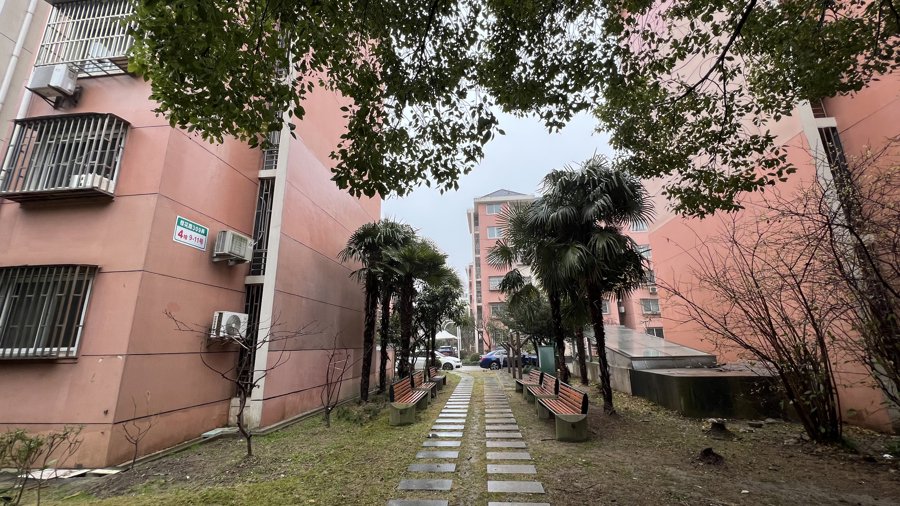 樱花路309弄小区完成物业费提价后,花木物业在该小区针对保洁、维修等服务内容做出提升。 谢飞君 摄