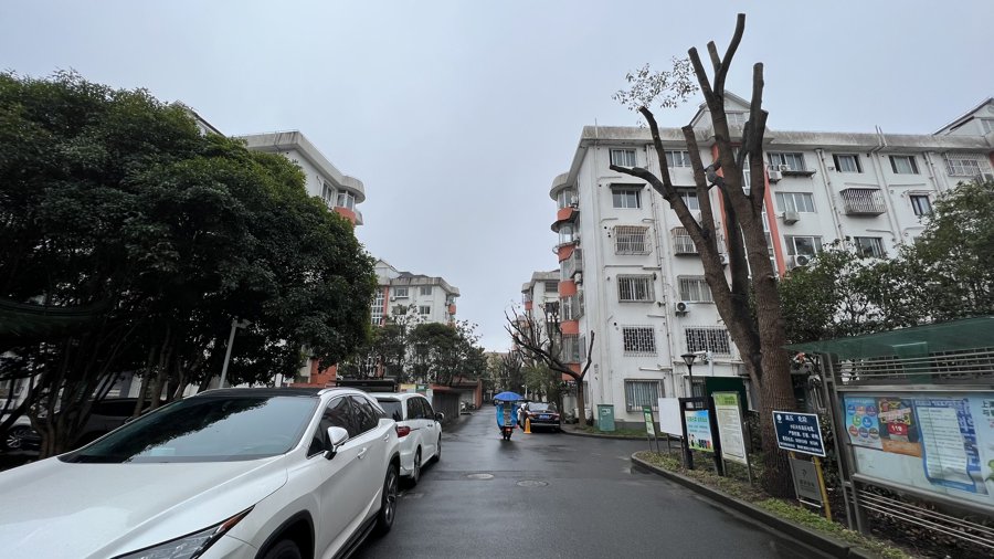 在提价前,金桂小区根据业主意见完成了小区内的大树修剪工作。 谢飞君 摄