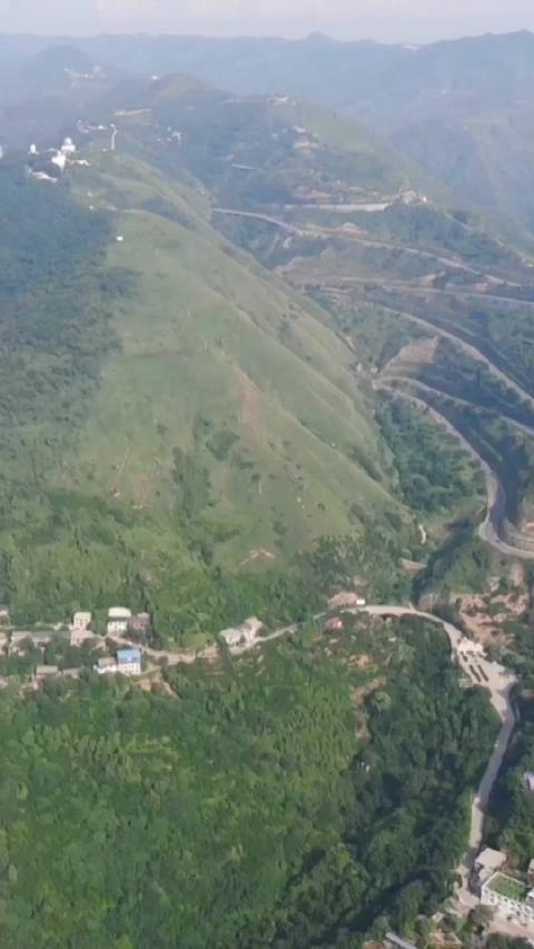 发下林业局招聘?