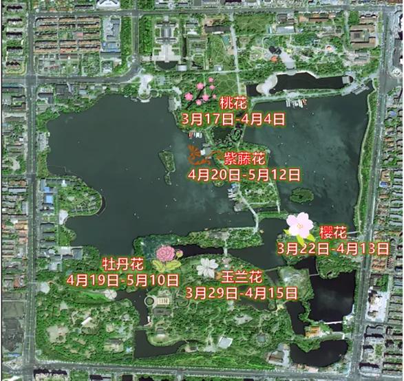 ▲水上公园主要观赏花卉最佳观赏期预报示意图