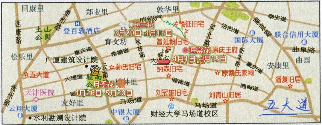 ▲五大道主要观赏花卉最佳观赏期预报示意图