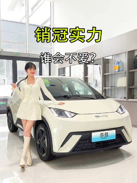 比亚迪海鸥荣耀版有啥改变？雅文探店带你get重点