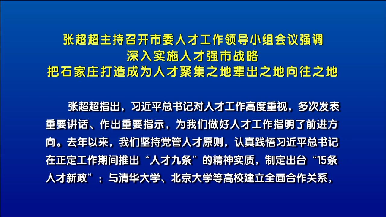 张超超主持召开市委人才工作领导小组会议