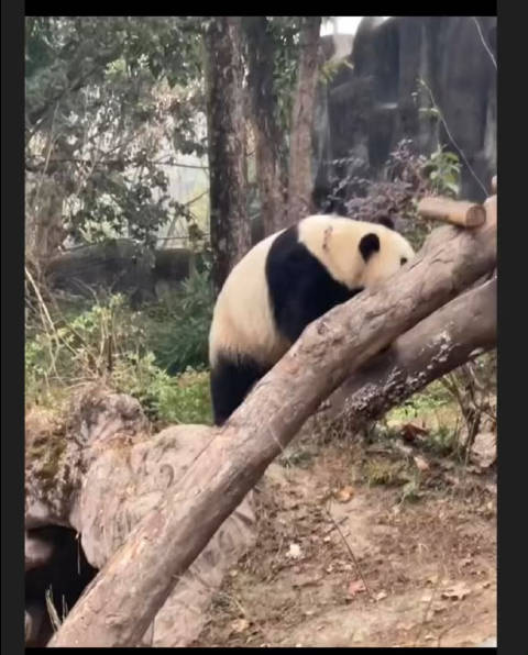 一个人最好的状态就是: 修一颗善良的心，养一张有情的嘴 口中有德…