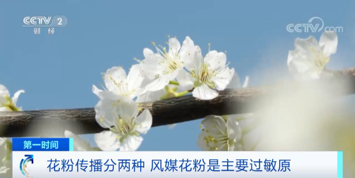 ▲图源:央视财经