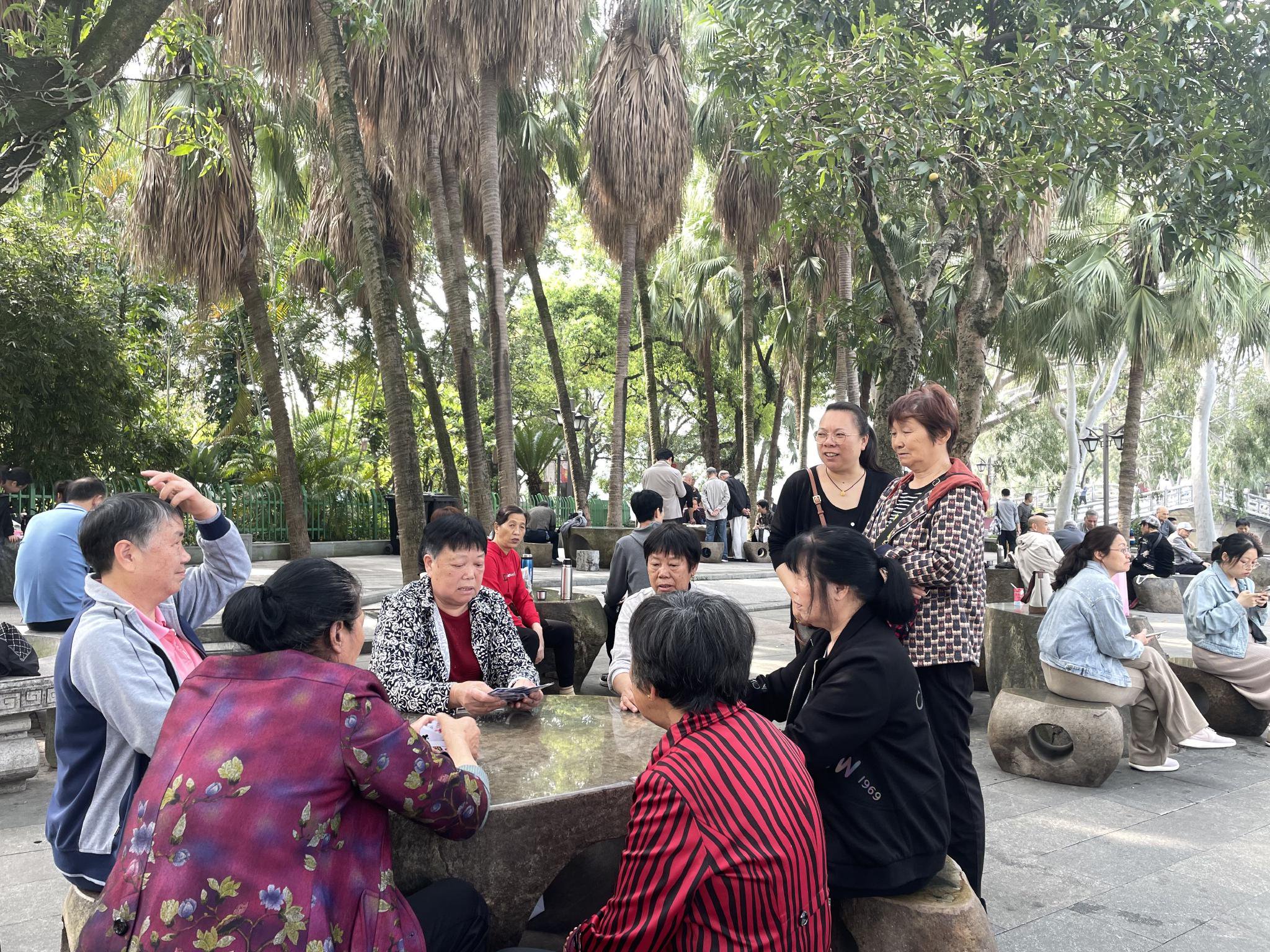 市民在擊楫碑附近玩牌取樂。新京報記者 張建林 攝