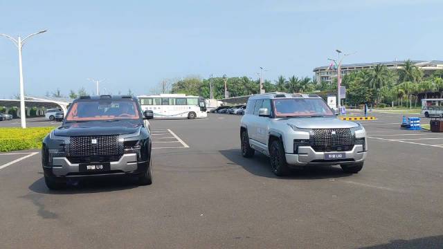 现身博鳌！仰望U8现场展示“原地掉头”黑科技…