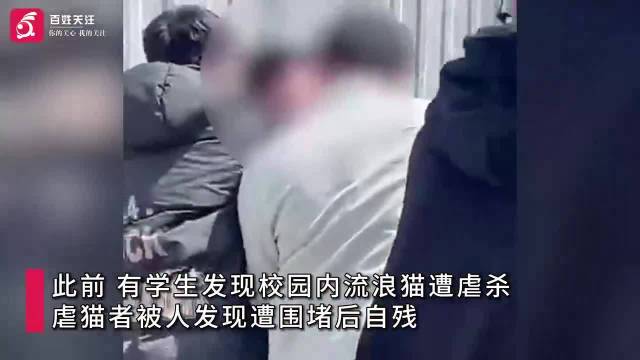 湖南师大回应有人校内虐猫：涉事者非本校学生 警方已介入处置