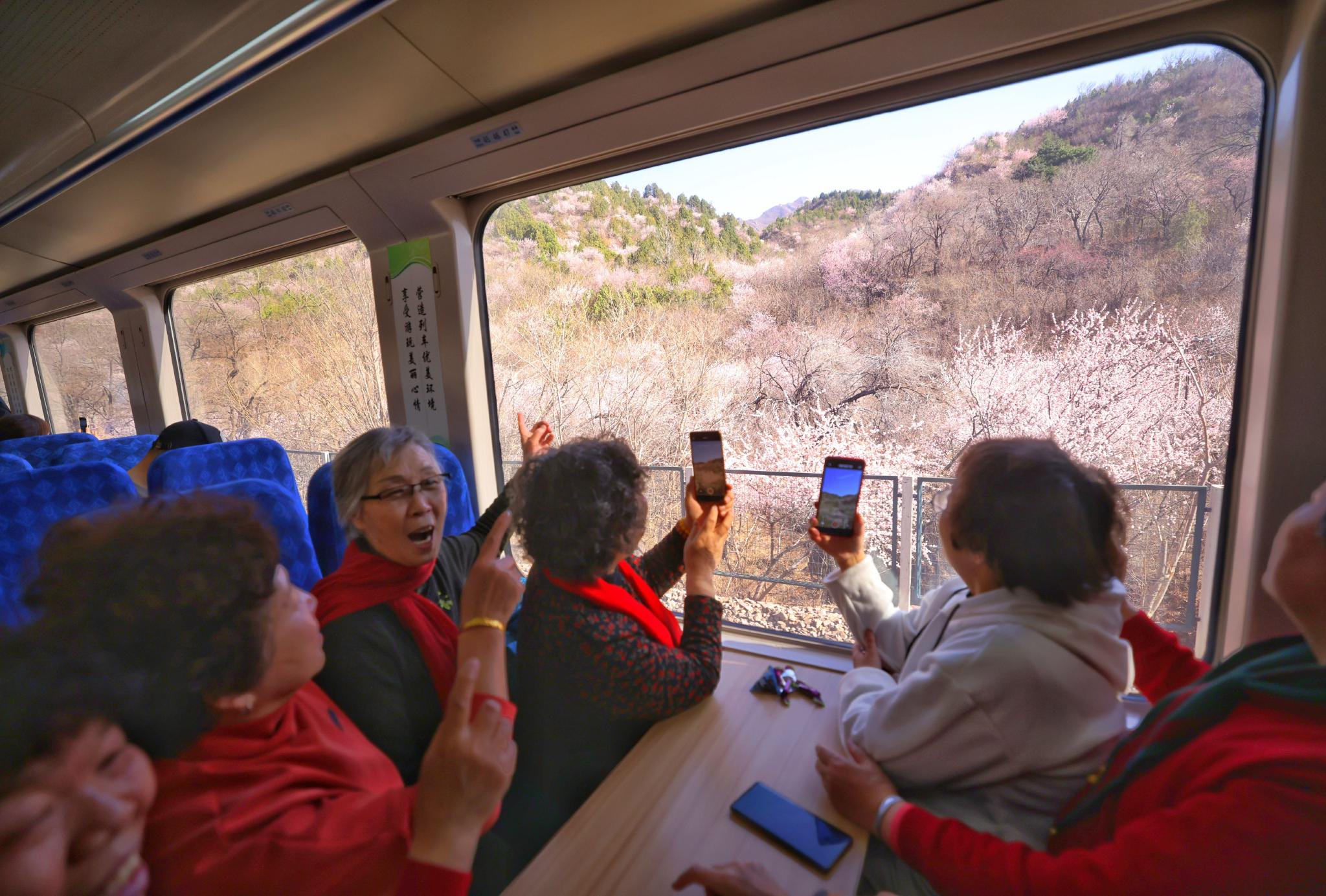 今天（3月28日）上午，旅客乘坐S2線時拍攝沿線山花綻放的景色。新京報記者 王貴彬 攝
