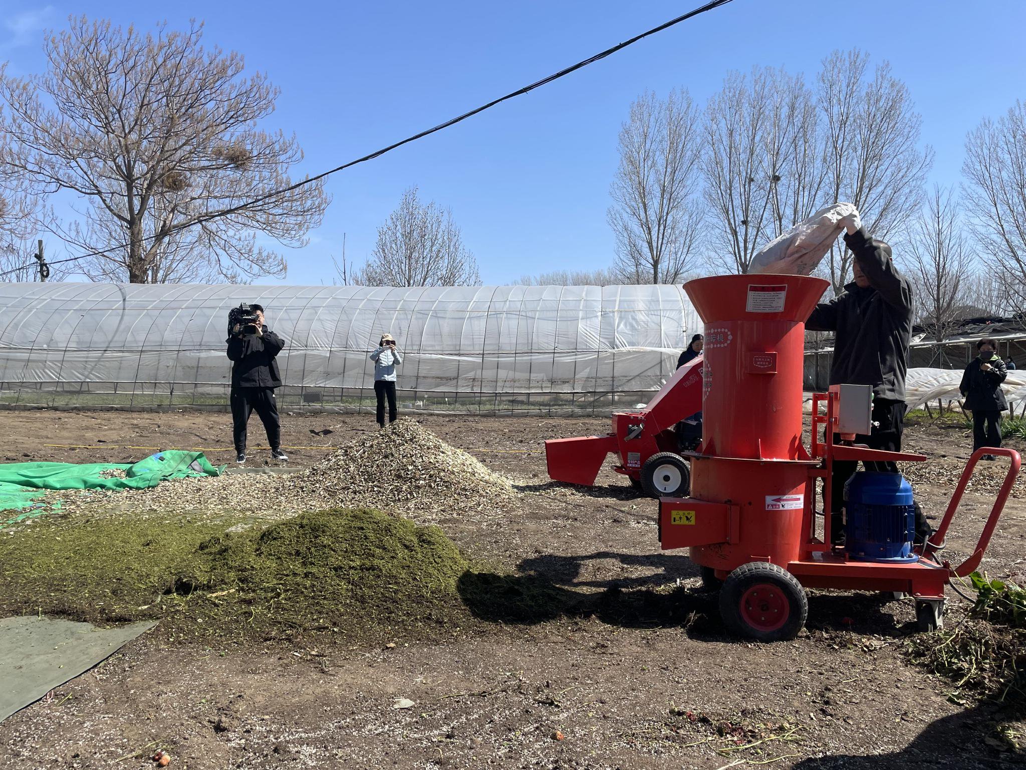 3月28日，昌平一個草莓基地裡，工人在用機械設備處理農業廢棄物。新京報記者 趙利新 攝