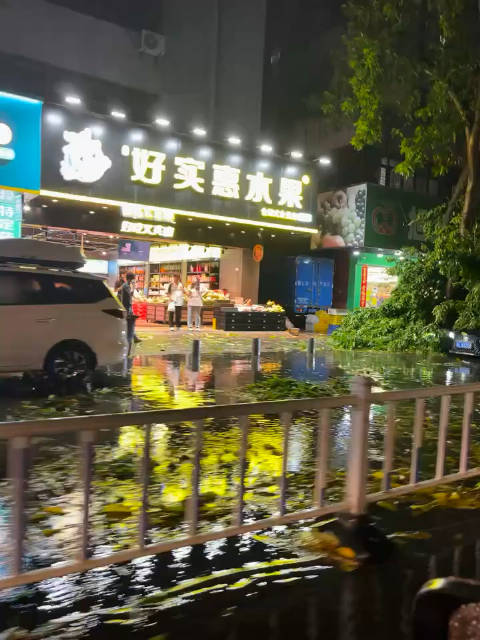 惠州大风大雨导致下角的大树砸压大树