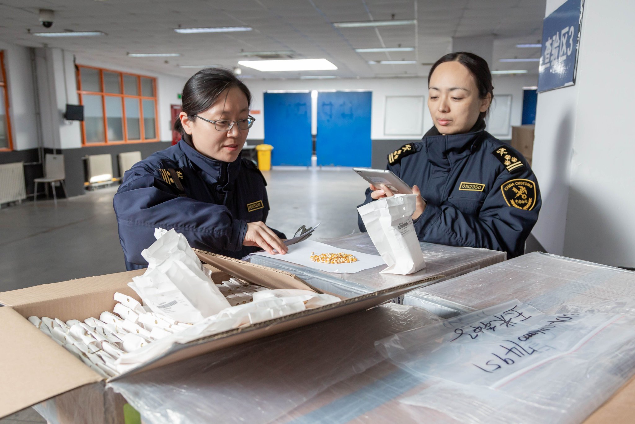 首都機場海關查驗處關員正在對一批進口種子進行查驗。舒善 攝