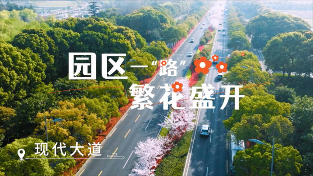 园区一“路”繁花盛开