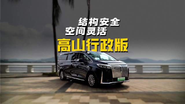 既保证车身安全又兼顾空间灵活 魏牌高山行政版与其他MPV有何不同