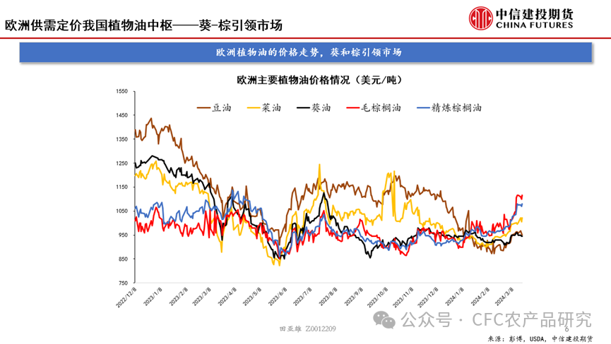 油脂市场的问题意识：关于全球菜葵的压力与价差的回归讨论,第2张