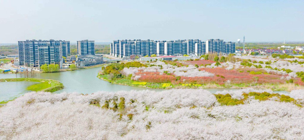 青浦区紧扣“一体化”“高质量”打造新地标。青浦区供图