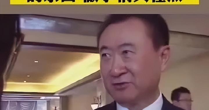 为什么流浪猫，会造成地球上142种生物灭绝...