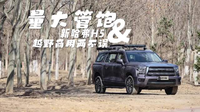 视频：以往大型SUV多是百万级豪车…