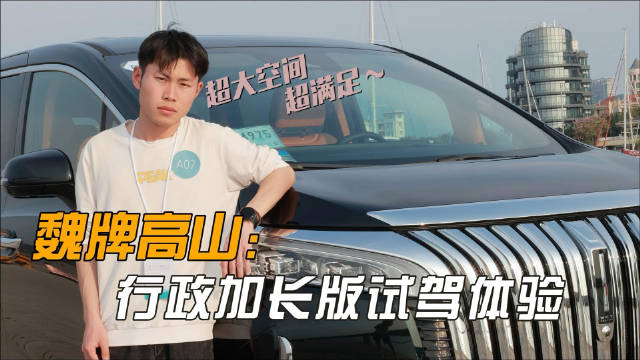 匠心独具 翩然绝尘，以征服了驾乘者一致好评！