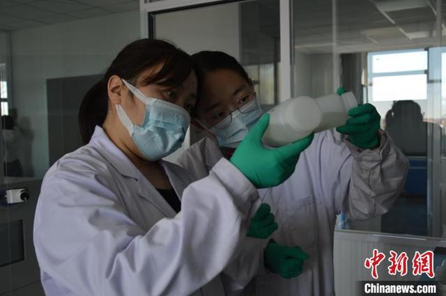 图为吕文霞(左)与同事观察对比实验结果。张蜀雁 摄
