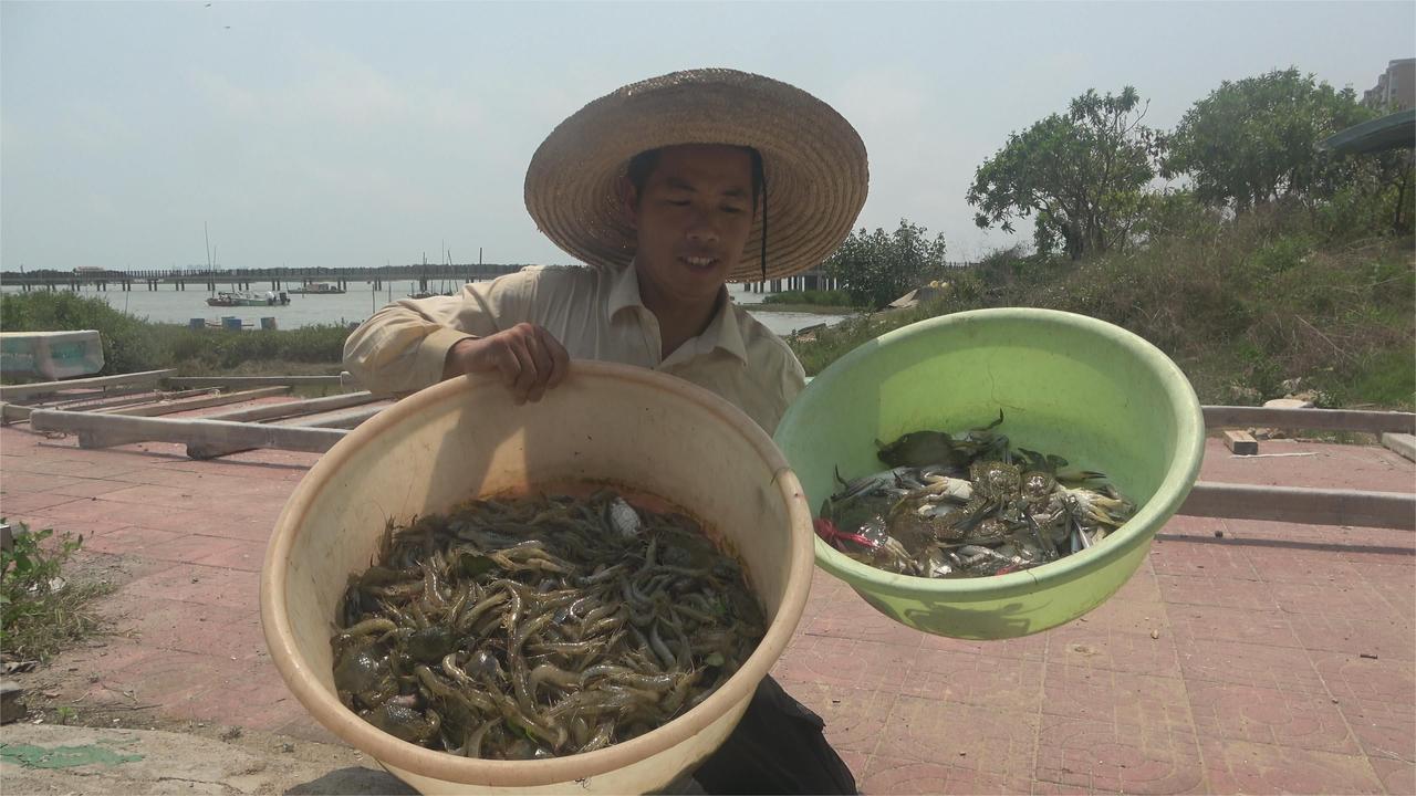 小池拉网抓很多虾蟹，还抓到值钱的黄金海鳝，正好招待刚到的朋友