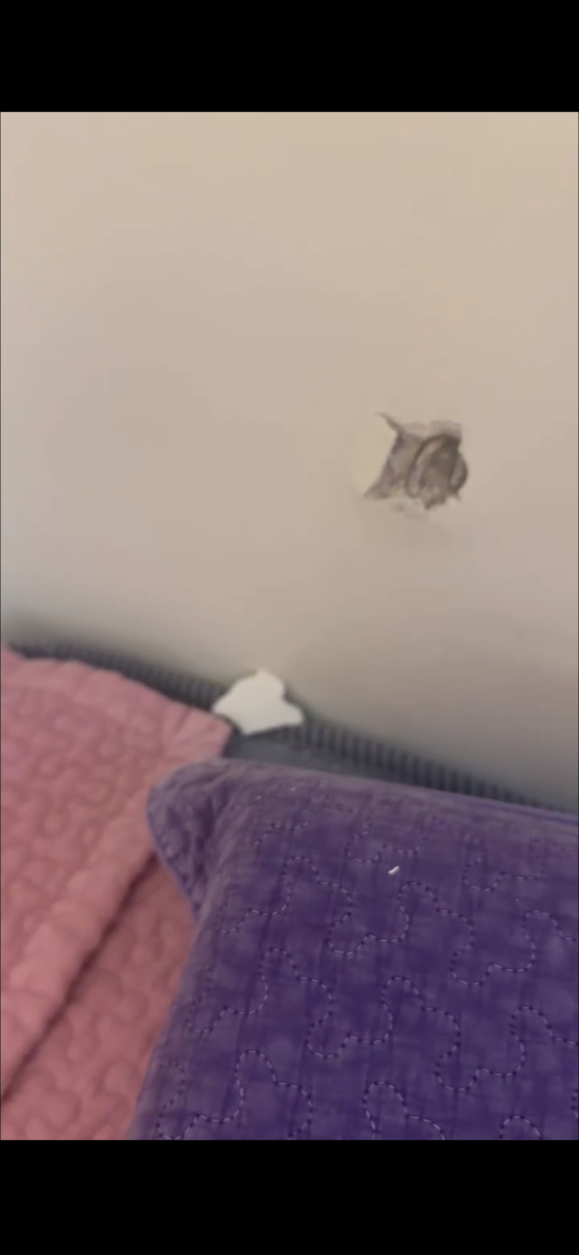 美蓮的臥室中，牆皮因地震剝落，掉在床單上。受訪者供圖