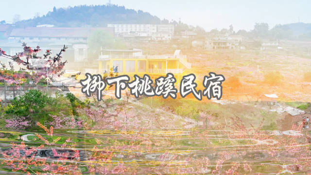 一网打尽成都美景 俄罗斯女孩盛赞龙泉山“柳下桃蹊民宿”