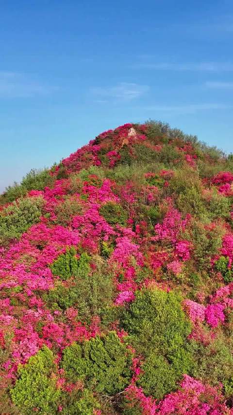 合肥庐江矾山双顶山进入一年中最美的季节…
