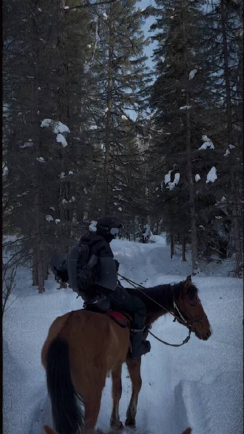 雪乡极致乐趣 没有滑雪的时候，就回顾一下以前的视频…