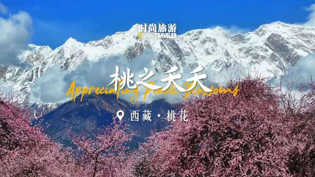 “桃之夭夭，灼灼其华”，林芝的雪山和桃花，冰与火的极致热恋