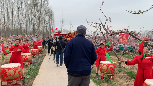 安阳内黄豆公桃花节