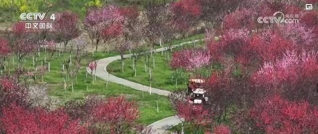 “繁荣”“繁花”“繁华”!清明假期,文旅消费释放蓬勃动能