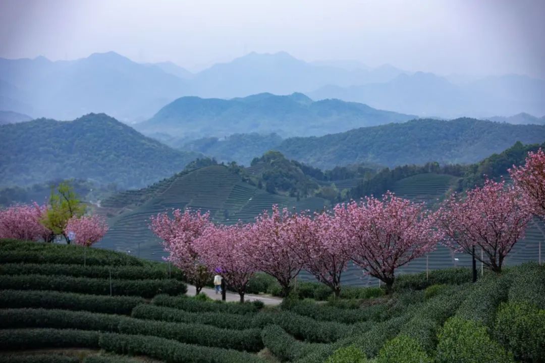 摄影/孙其祥