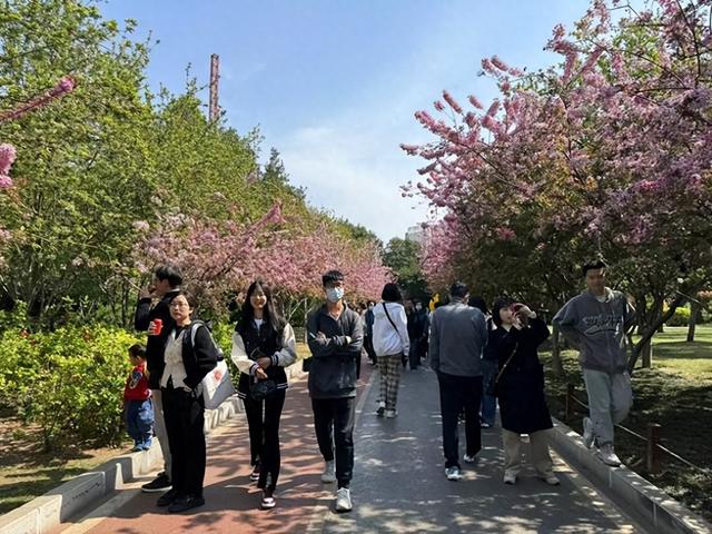 碧沙岗公园游人如织