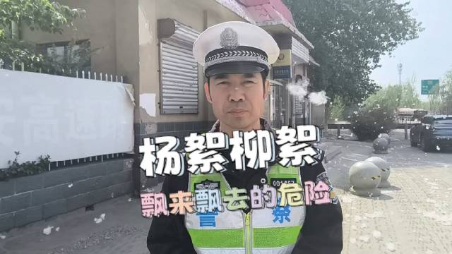 杨柳絮好烦人！作为一个过敏鼻炎患者，这个季节真难受啊…