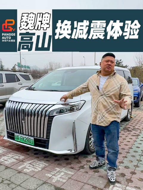 要说魏牌高山优点很多！