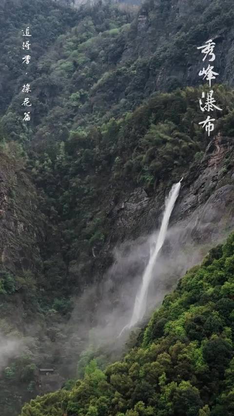 云雾缭绕下的庐山秀峰瀑布，李白诚不欺我 庐山